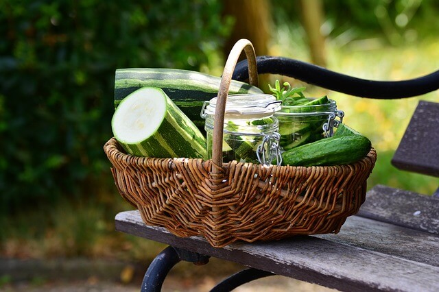 Novel Ways to Cope with “National Sneak Some Zucchini Onto Your Neighbor’s Porch Day”